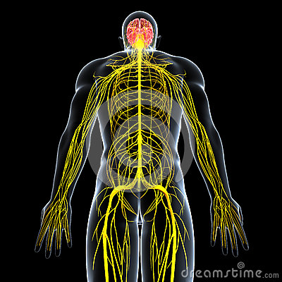 Omaha Chiropractor and Acupuncture